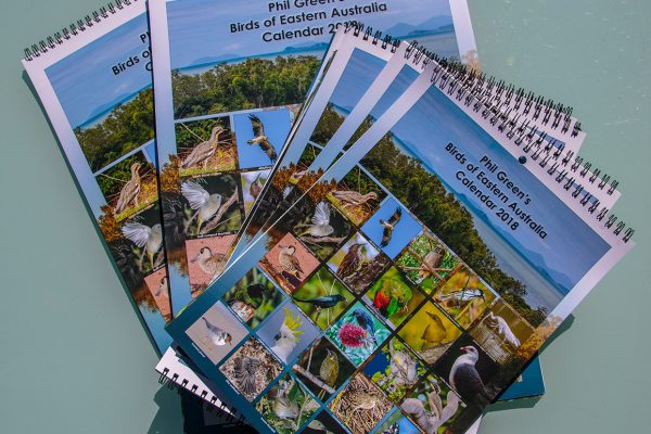 Custom 2018 Calendars